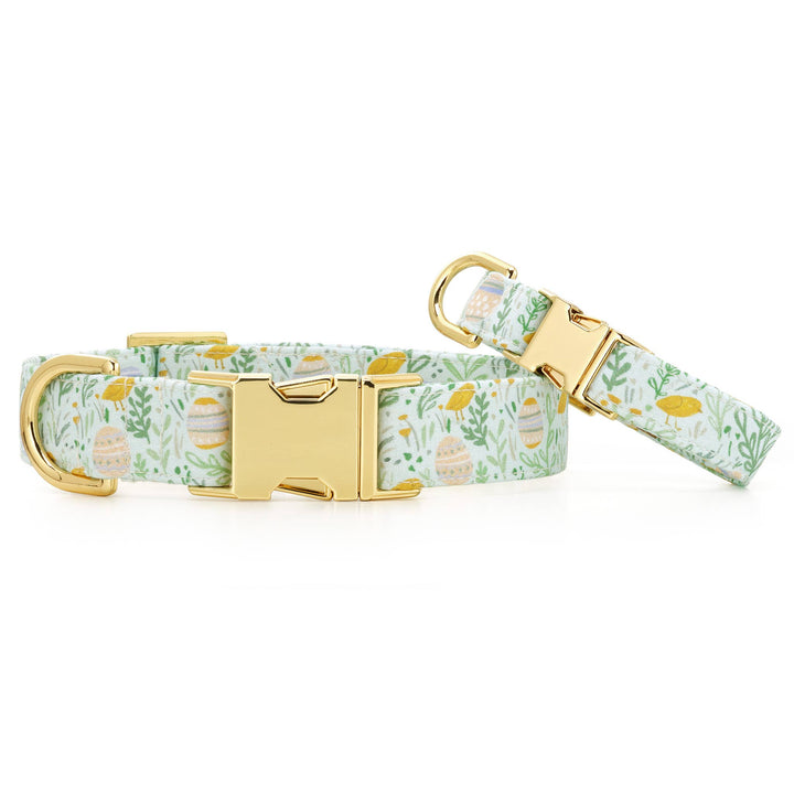 Egg Hunt Easter Day Dog Collar - Gabrielle's Biloxi