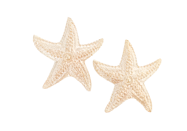 The Aerial Luxe Starfish Stud