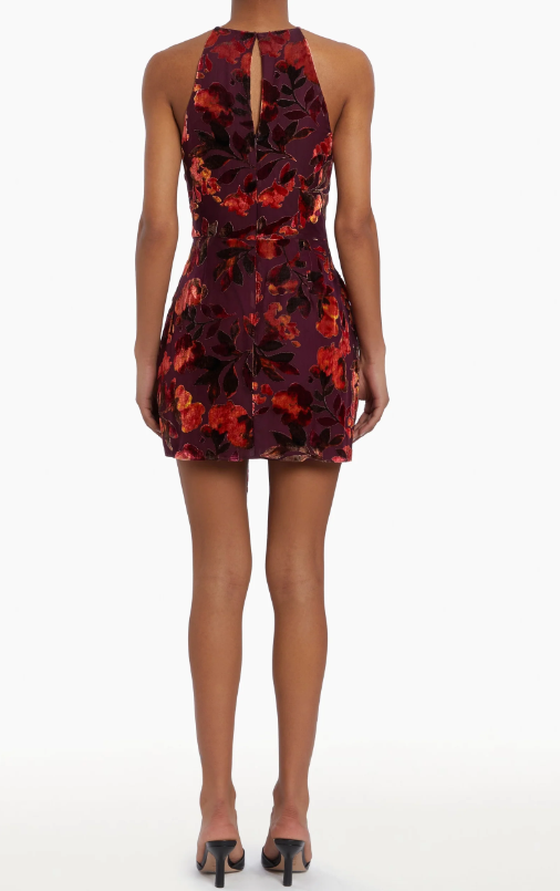 Amanda Uprichard Selah Dress - Sorrel Burnout