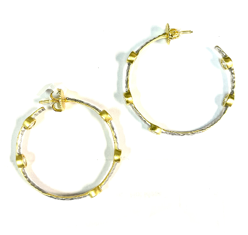 Freida Rothman Starry Night Hoop Earrings - Gold & Silver