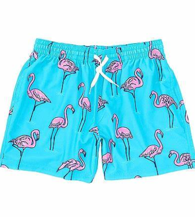 Chubbies The Beach Retreats 5.5" Classic Swim Trunk