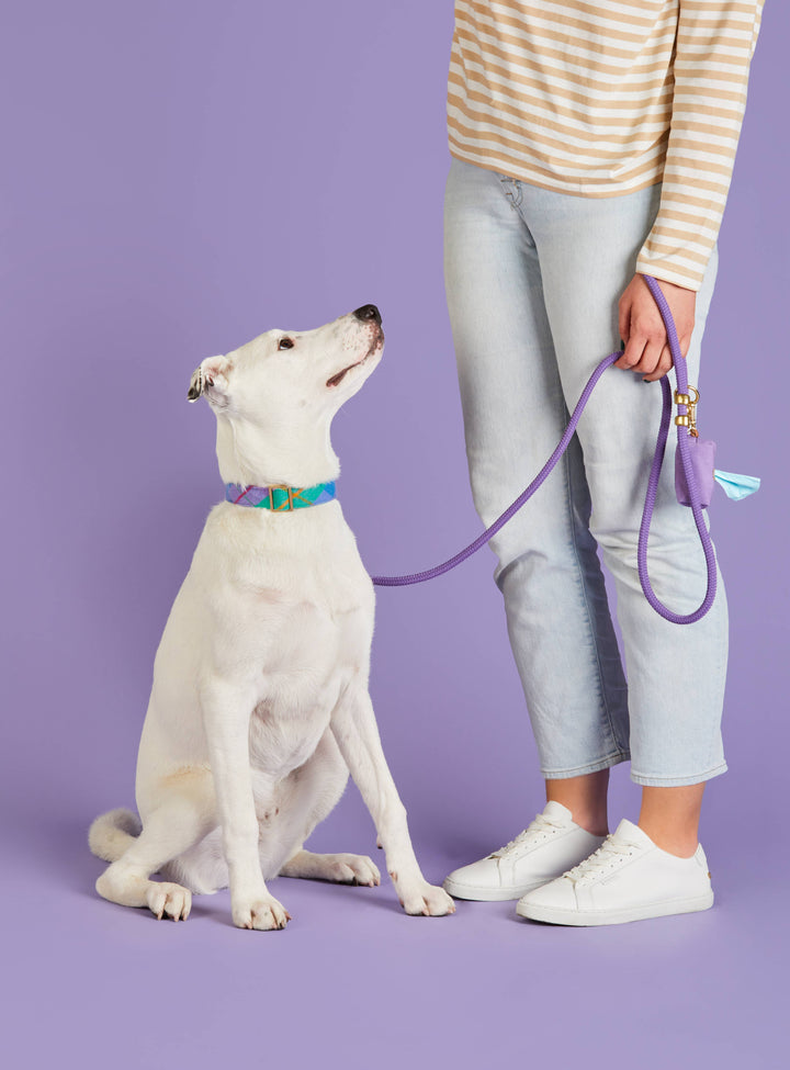 Violet Marine Rope Dog Leash: Petite 5 feet