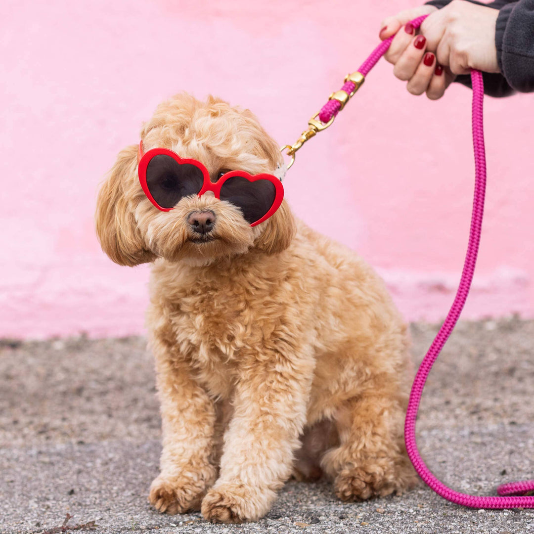 Hot Pink Marine Rope Dog Leash: Petite 5 feet